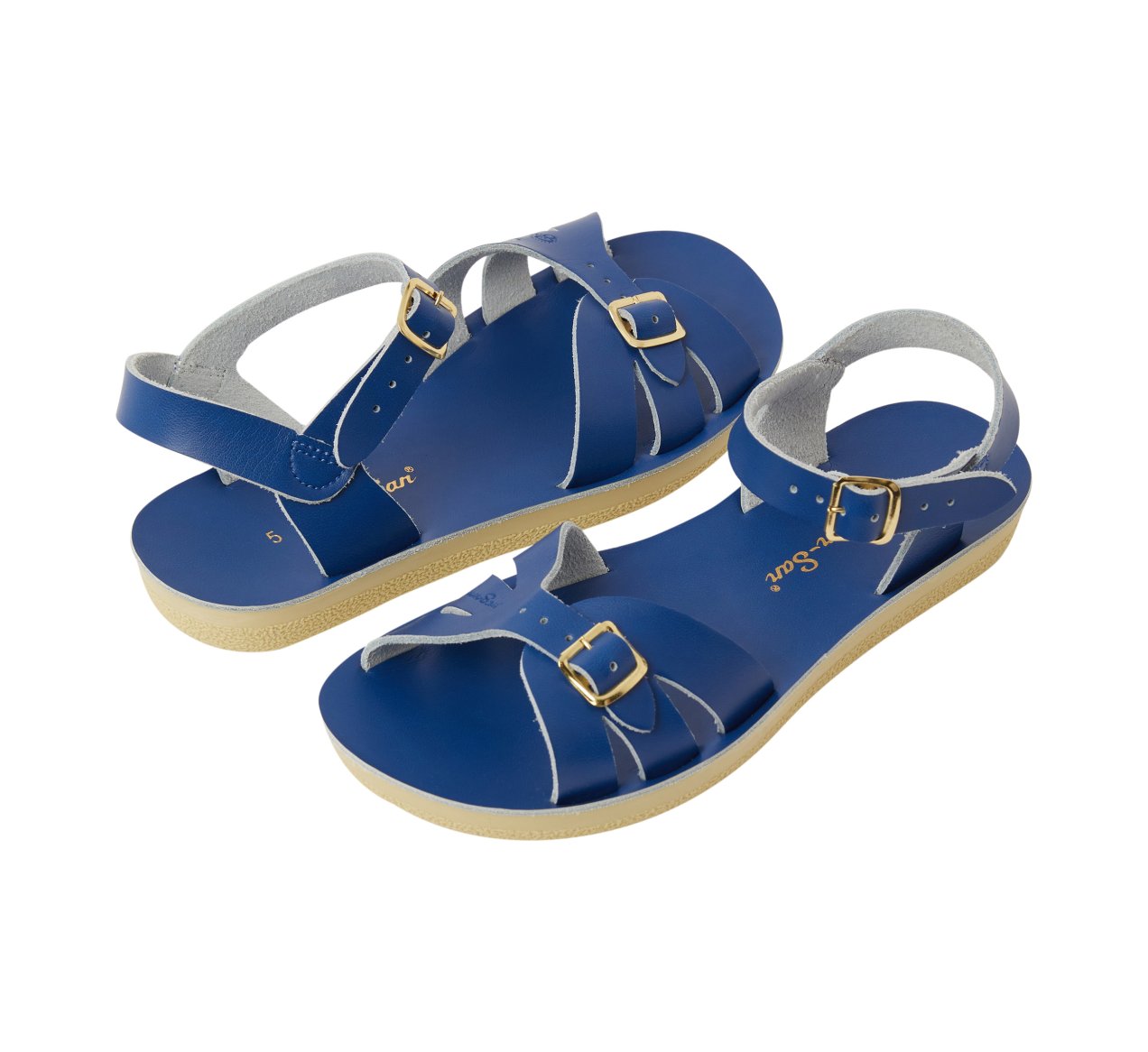 Boardwalk Sandal Adult Cobalt (Pre-Order)