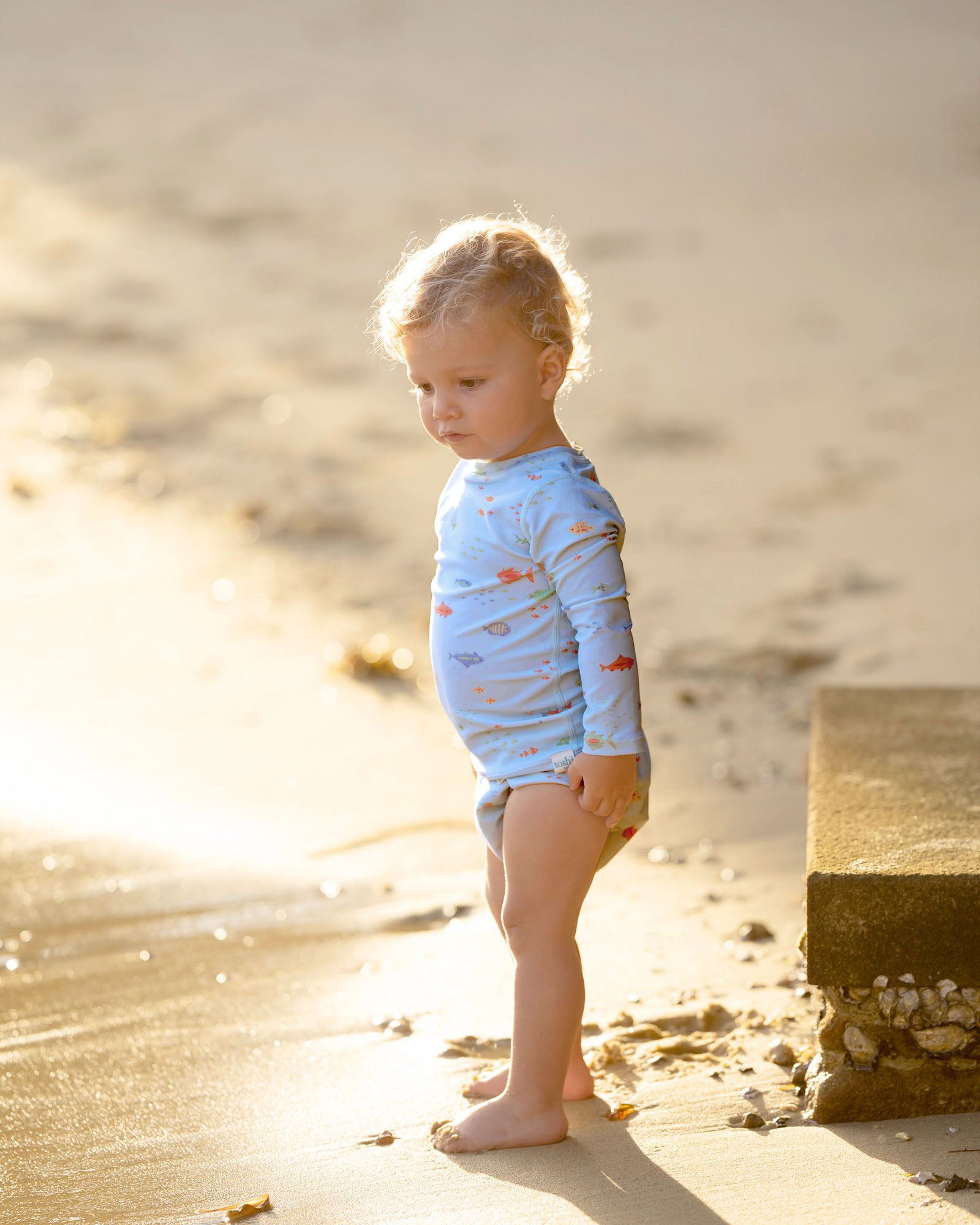 Swim Rashie Reef
